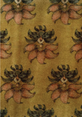 Sabyasachi | 'Kamalika Velvet' Fabric