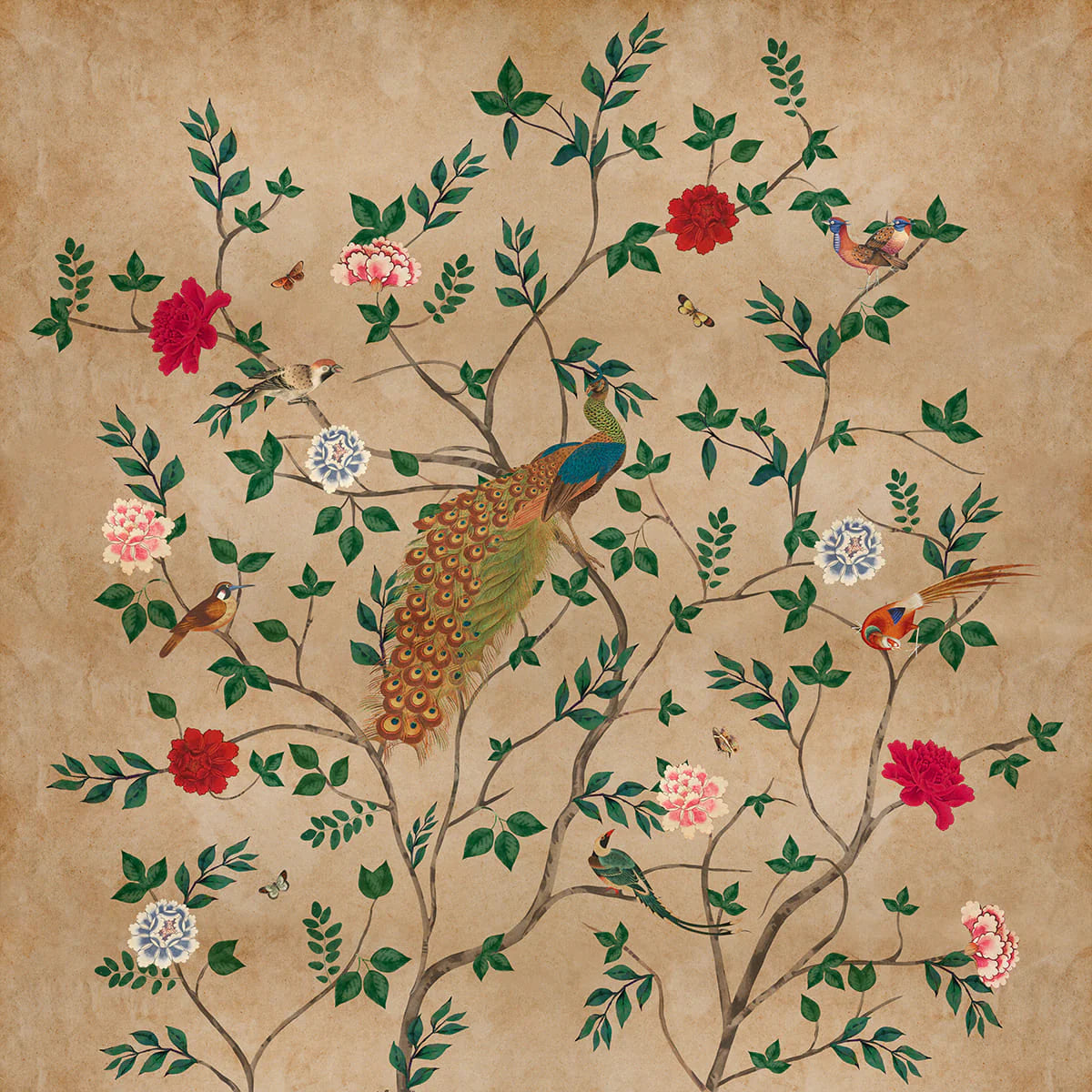 ‘Pakhi' Wallpaper