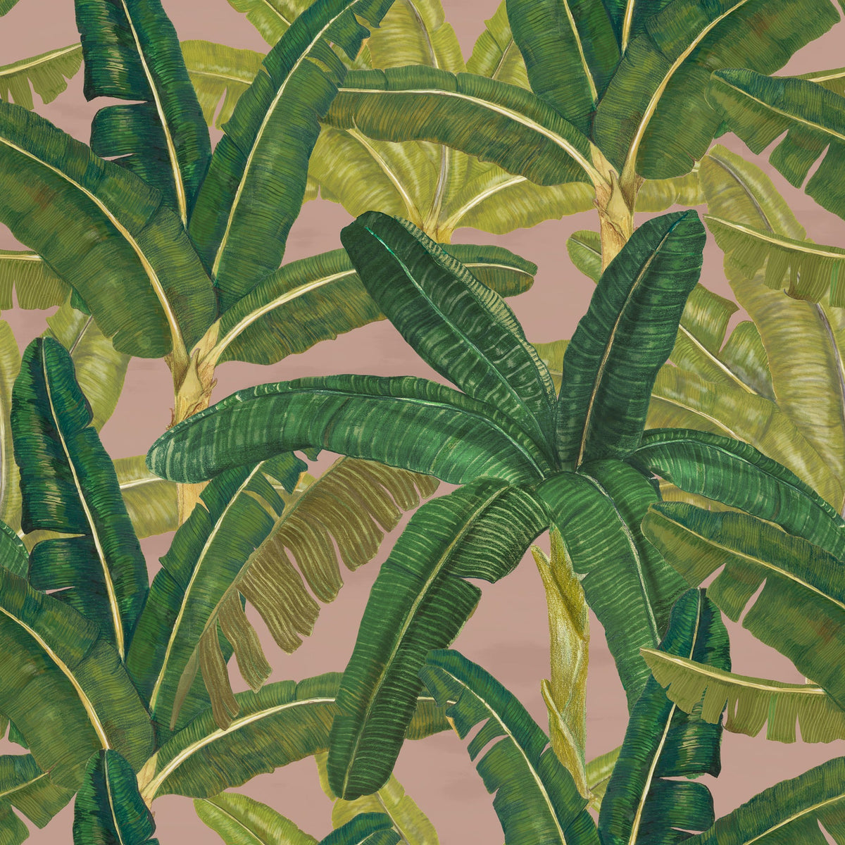 Banana Garden wallpaper in Dry Orchid by Tilla for Nilaya, VRSA
