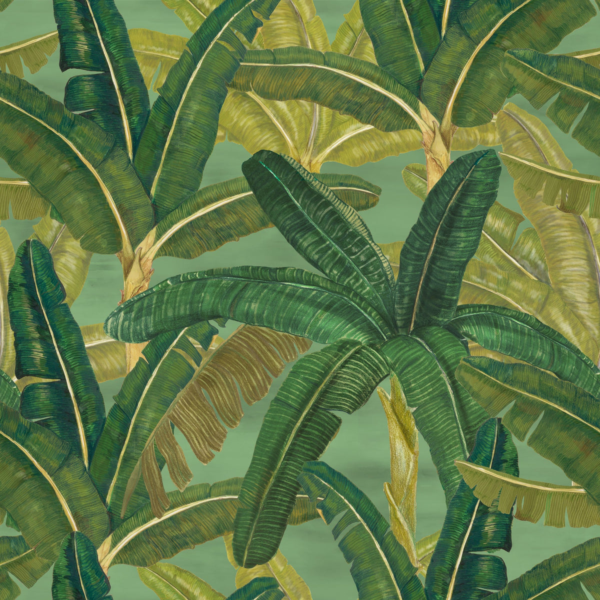 Banana Garden wallpaper in Twilight Green by Tilla for Nilaya, VRSA