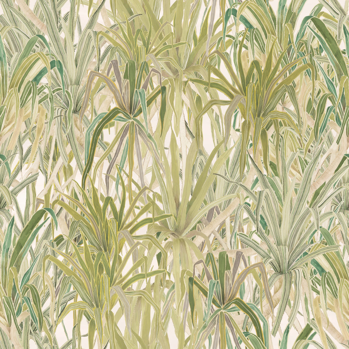 Tangled Up in Green wallpaper in Warm Sunlight by Tilla for Nilaya, VRSA