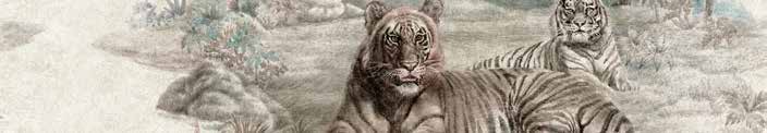 Sabyasachi Sunderbans wallpaper in Winter Grove, VRSA