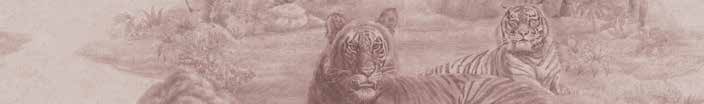Sabyasachi Sunderbans wallpaper in Indian Rose, VRSA