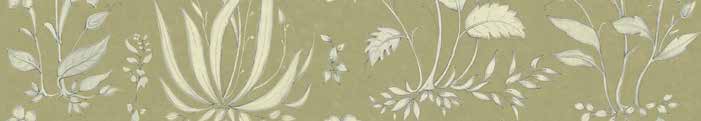 Sabyasachi Mogholsrai wallpaper in Moss, VRSA