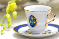 Shores of Persia Tea Set (12-Piece)